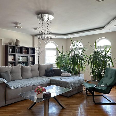 Lovely Apartments Free Street Parking Novi Sad Exterior foto